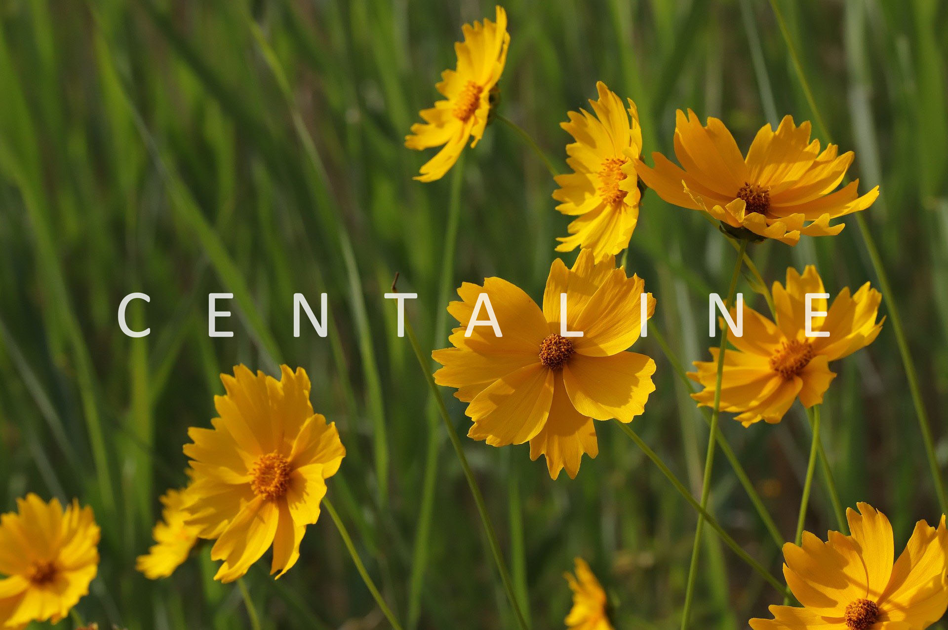 贝壳|昌平南似乎也卷起来了！