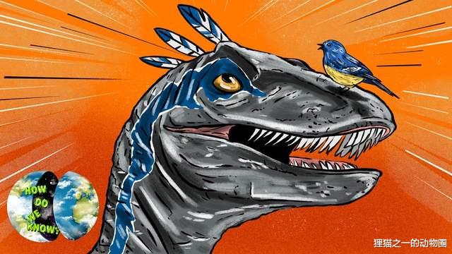 通过人类心理测试,科学家发现:松鸦的自制力可能比你我还强