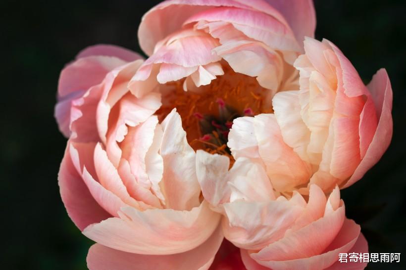 星座爱情观|这些星座，总会遇到生命中的意外