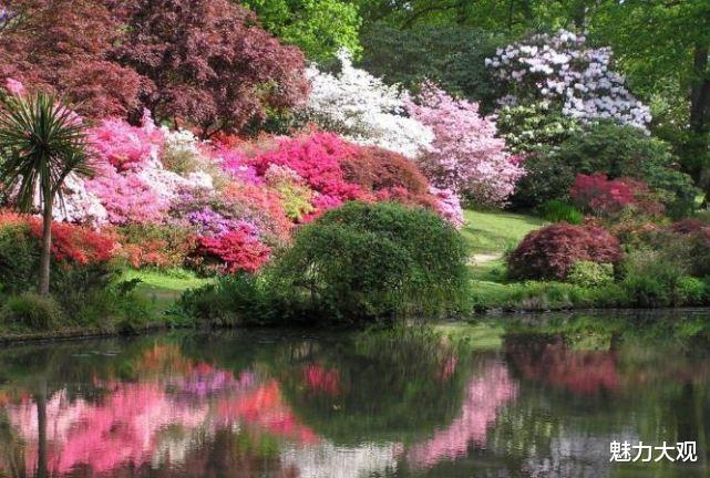 园林|世界十大最美园林，美到极致大概就是这个意思吧！