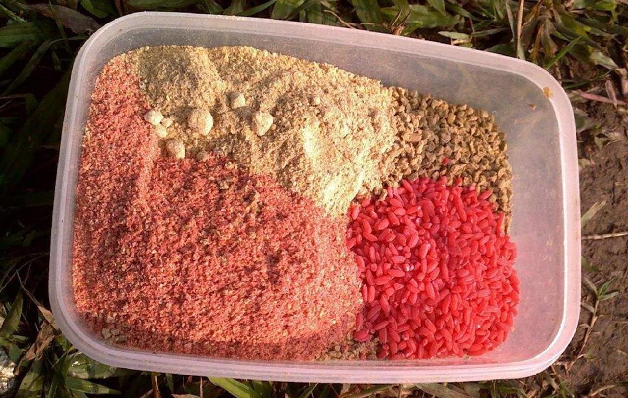 霜降|霜降过后降温明显,想要渔获满满不走空,这四个技巧助你一臂之力