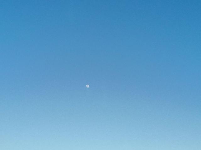 |杂鱼堡的梦想,让鱼获爆了护!