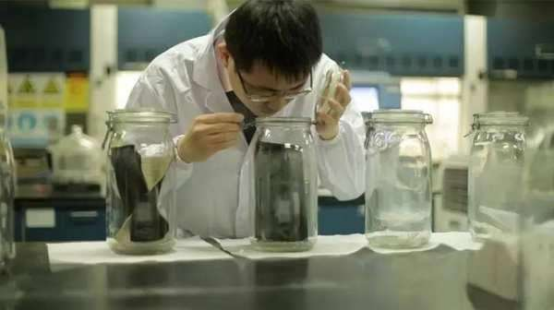 你相信气味是有记忆的吗?可以让失忆的人重新激活记忆