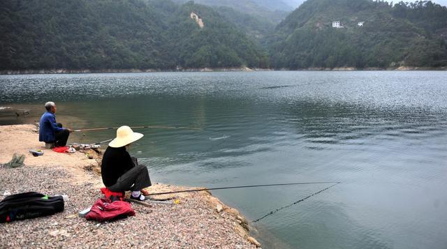 饵料|窝子大量鱼星但鱼却不咬钩,钓鱼人进阶路上的难题,你知道原因吗