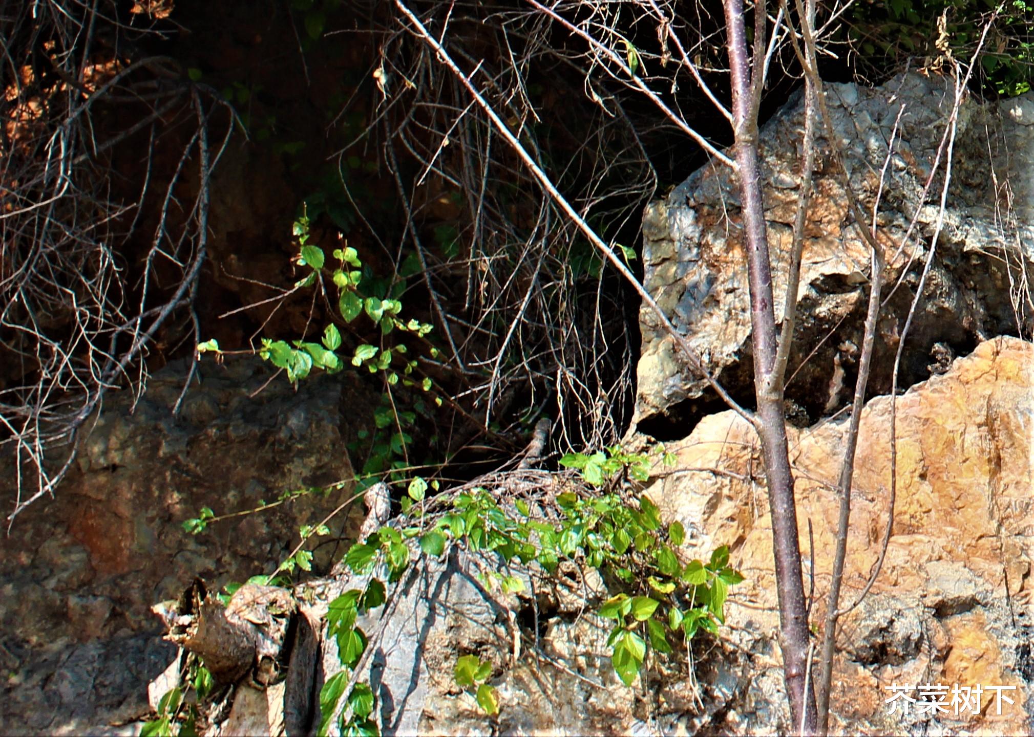 招聘|不是职场乐子人,又有点小郁闷