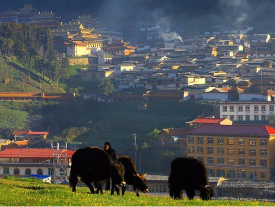 冠豸山|甘南，旅者心中的梵天净土，感受藏族浓郁色彩和特有的文化气息