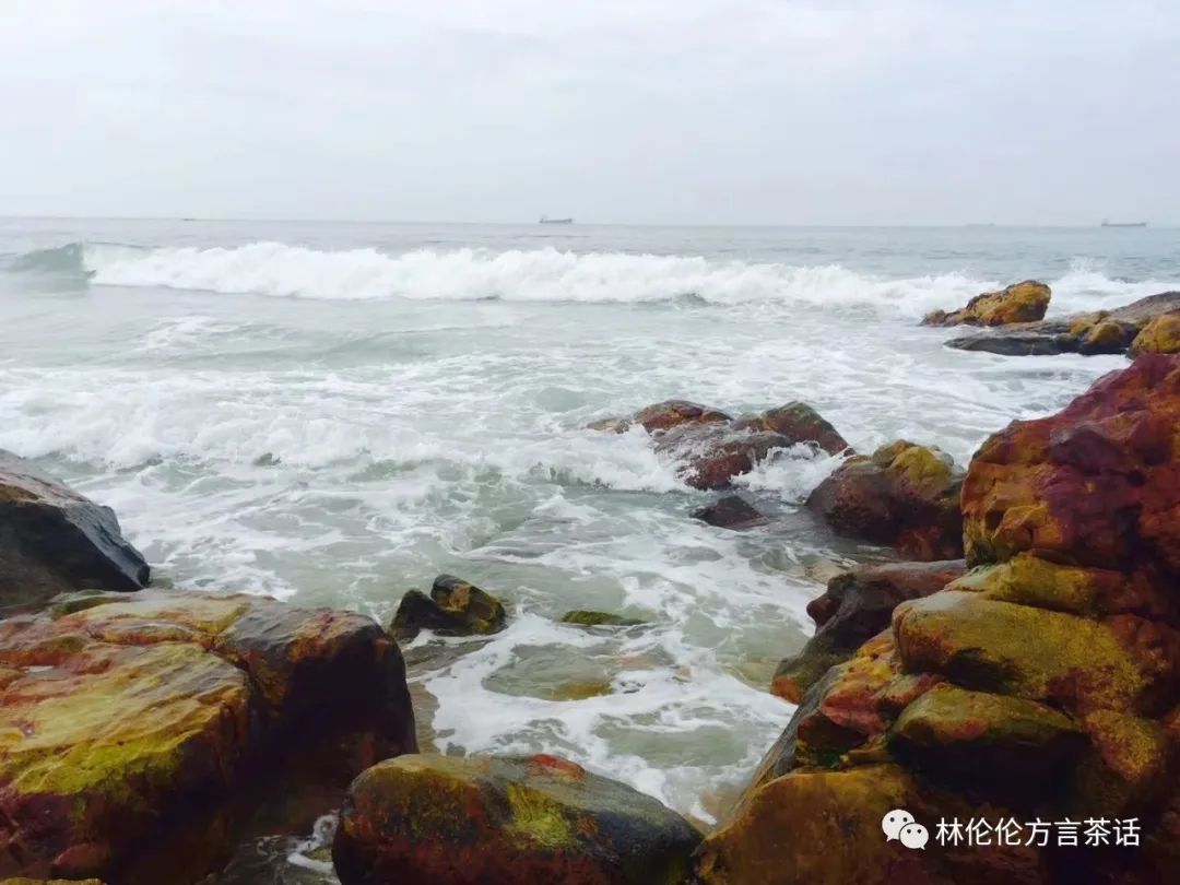 依拉|南澳是个汉语方言的宝岛