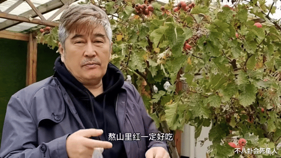 明星|8位老牌明星晚年回归普通人生活，坐公交吃路边摊，回农村种地