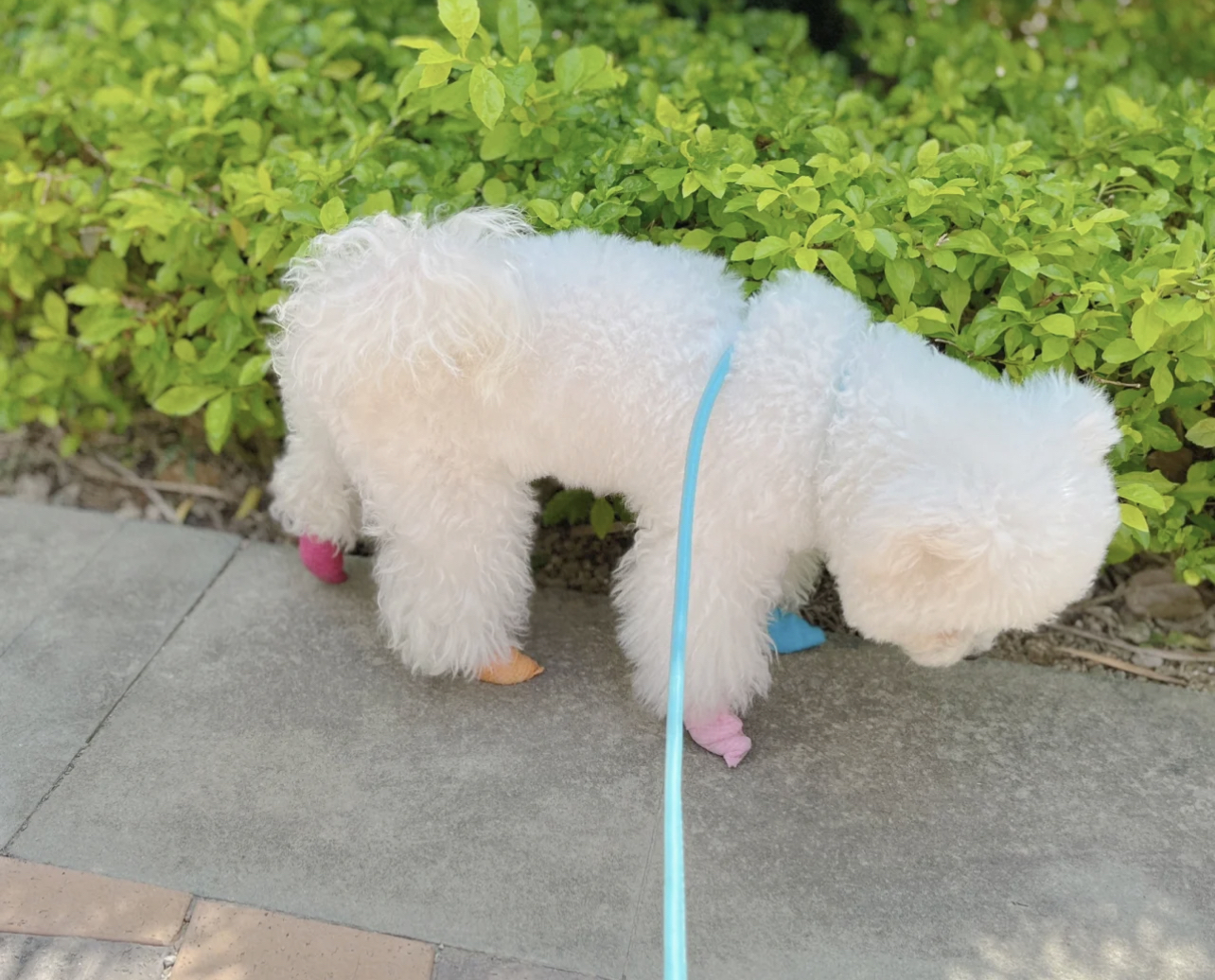 “让懒人躺平、勤快人开眼”的10个家居小物!