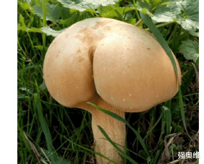 发型 “发型对男生颜值的影响有多大？”