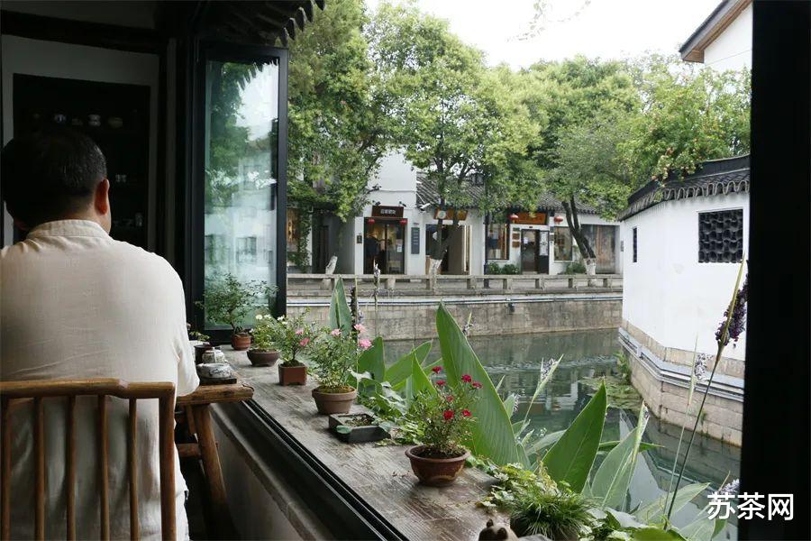 油菜花|这些游客打卡的热门景点，苏州人只觉得平平无奇，一般不去