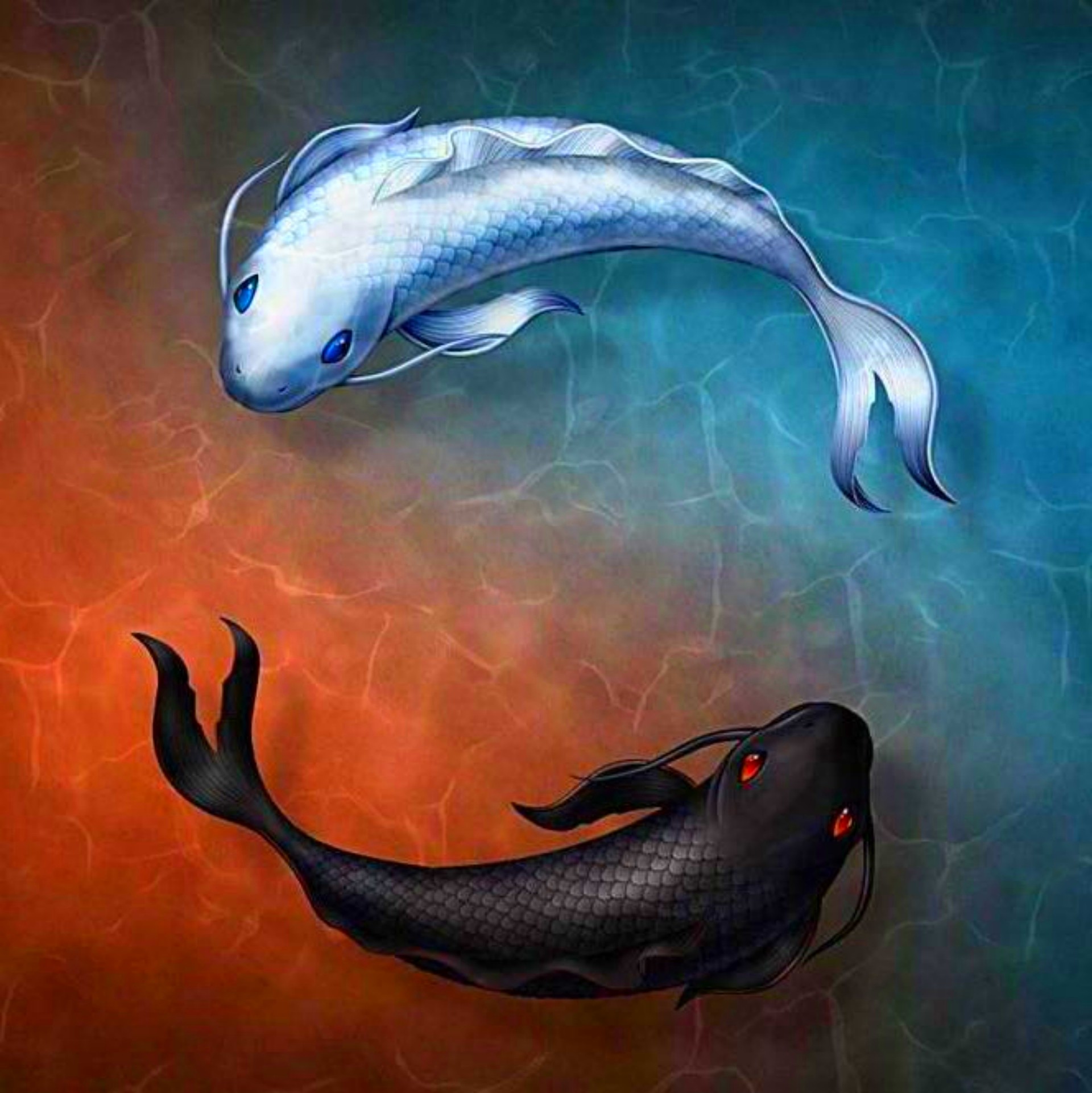 有一种安排叫缘,有些事情,冥冥之中,自有天意,祸福相依,当你在生活中