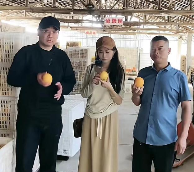 许敏|云昊、妮妮成立“吉祥三宝”，制裁田家三姐弟？许敏陷入两难境地