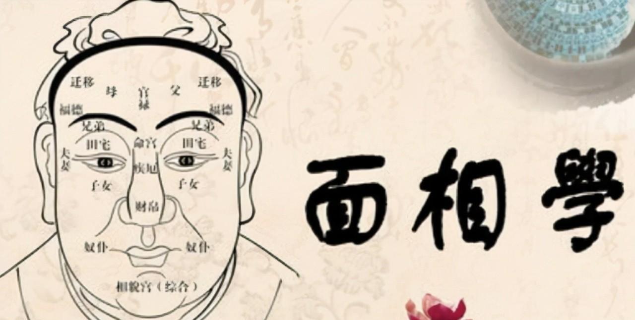 俗语“未言舐唇势必妖,面目雌雄不可交”面相学有道理吗?