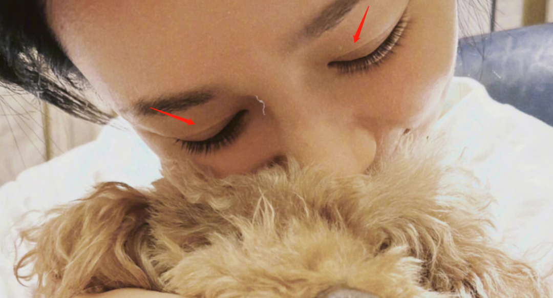 杨紫|杨紫真恋爱了?刘学义疑跟张予曦分手,杨紫晒出同款狗狗心情大好