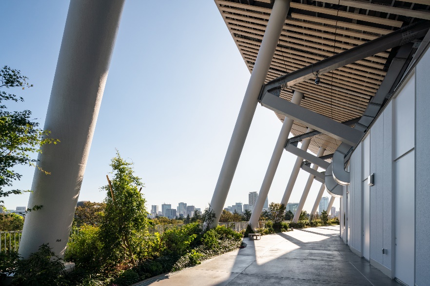 建筑师|隈研吾：后疫情时代，我们需要什么样的建筑？