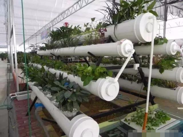 老婆这样改装PVC管，这20个家具都不用买了，漂亮又美丽！