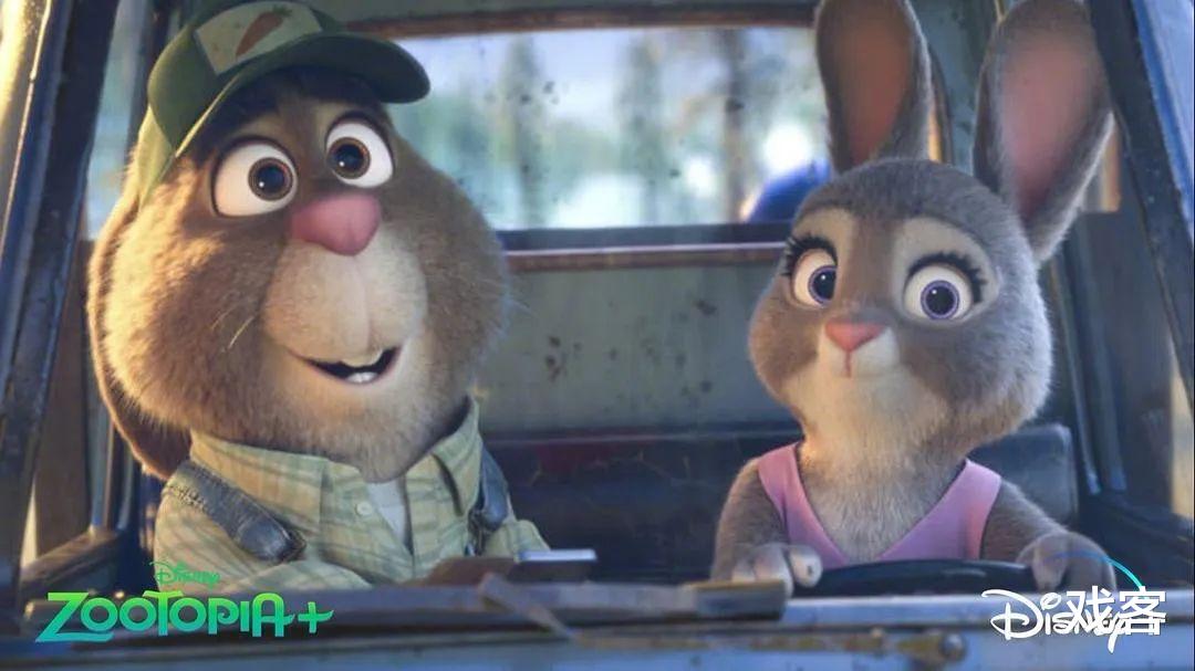 豆瓣|《疯狂动物城》惊喜售后,豆瓣8.7可不是情怀分