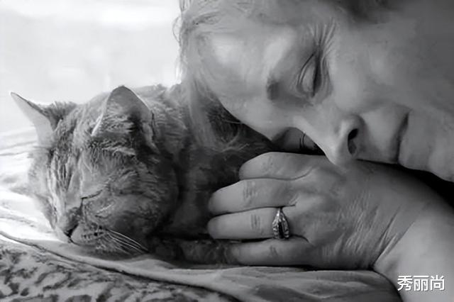 猫咪在生命最后一程紧握主人的手 让主人知道它很爱他