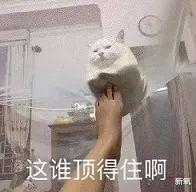 樱井孝宏|“捂嘴拍照”造型美少女,网友:为了流量就可以没下限?