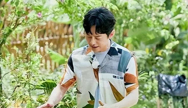 综艺节目|从三个方面来分析,《向往的生活》对综艺节目的发展有何重要意义