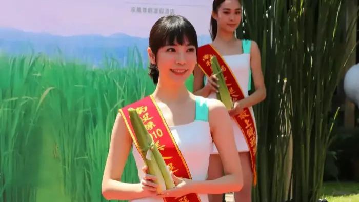 明星|好尴尬！台湾女明星举着“伪旗”登台，直接被主办方轰下台