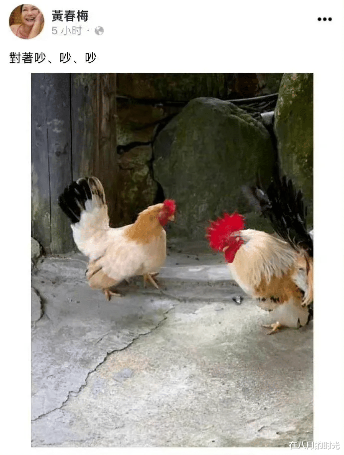 大S|大S的妈妈气急了，深夜睡不着发文怒怼，网友：儿孙自有儿孙福