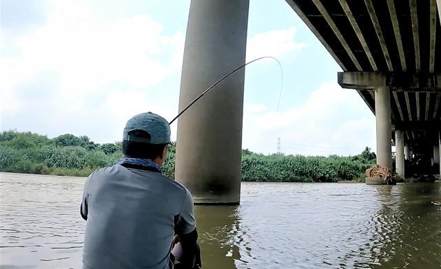 |初秋仲秋钓鲫鱼3钓3不钓，晚秋钓鲫鱼则4钓4不钓，你都知道吗？