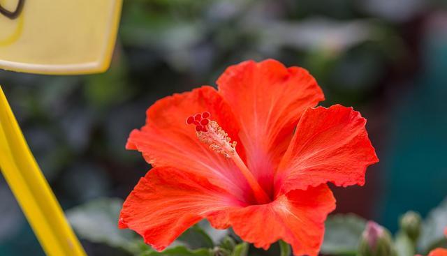 饮食|为迎孙子出生婆婆做美容,花3万8脸烂出坑眼闭不上,老伴要离婚