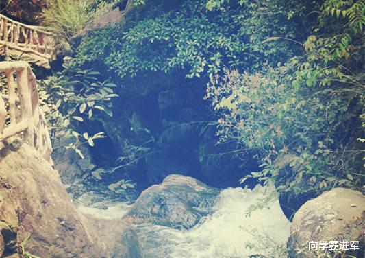 机器|未来十年最有可能消失的十二大职业，考生可以参考查阅！