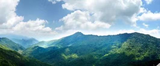 张家界|激动！全国多个景区：免费开放！梧州人错过就亏大了！