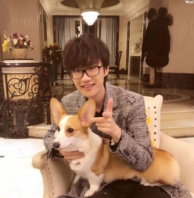 郭碧婷|郭碧婷向佐离婚？龚俊要跳槽？韩东君被gay撩？