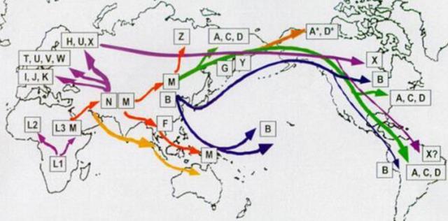 夏娃理论遭质疑,中国发现的化石说明一切,人类的祖先到底是谁?