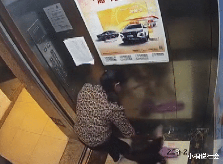 杭州坠楼女童父母坚持追究保姆刑责:持证上岗月薪8000,才来7天