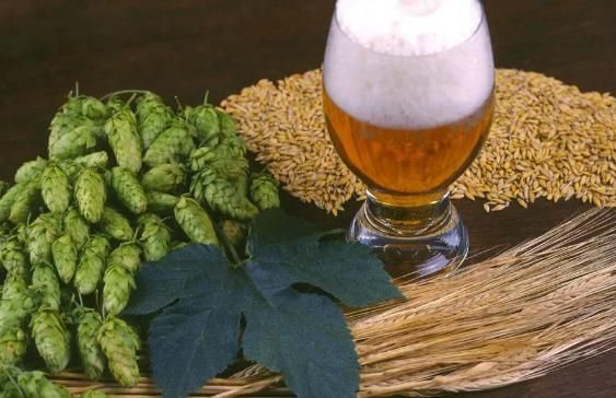 面条|长期吃面条,对身体有益还是有害呢?不妨听听医生怎么说