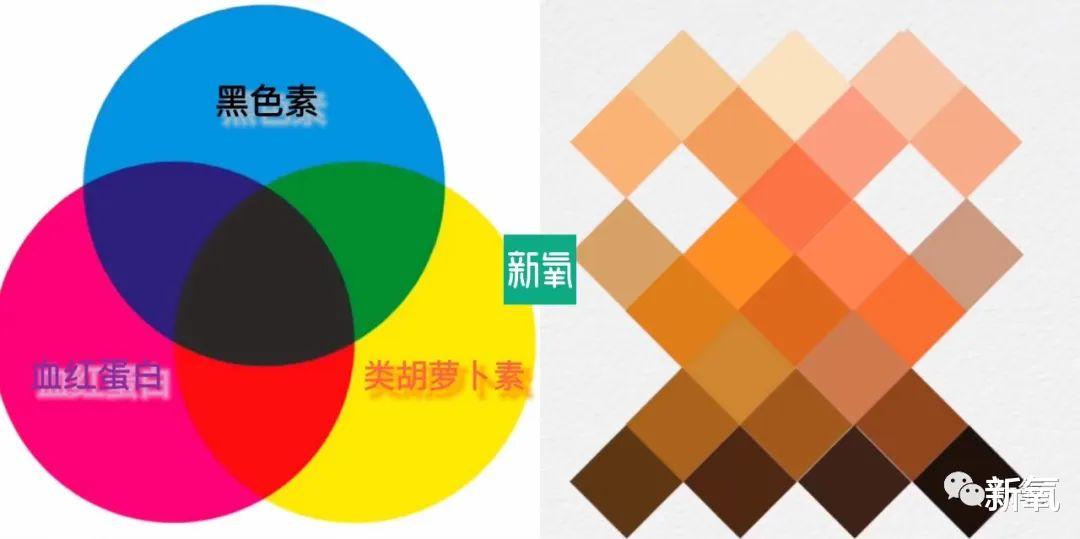 黑色素 同样是白皮，为什么少女总有玻璃般的透明感？