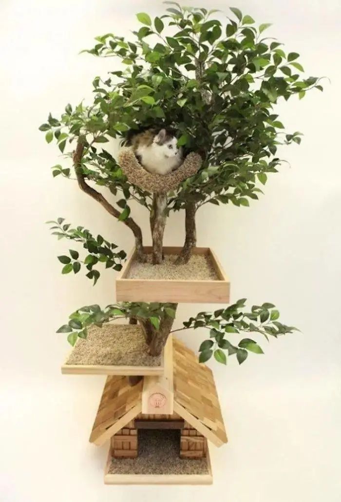 夫妻俩打造超逼真猫树，就为让主子在家体验爬树的感觉！