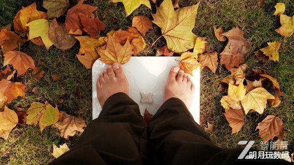 锂电池|改变,就在这一步——有品S3Lite体脂秤全方位测评