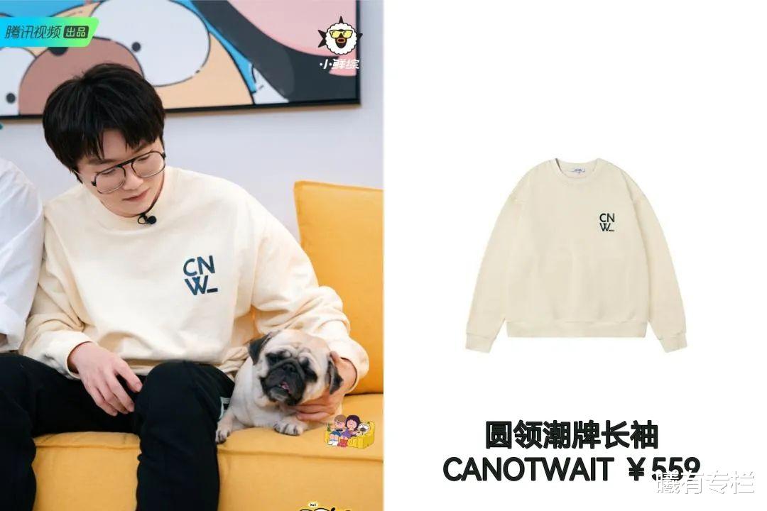 李雪琴|李雪琴录节目穿59块衬衫，综艺人搬砖也太省钱啦