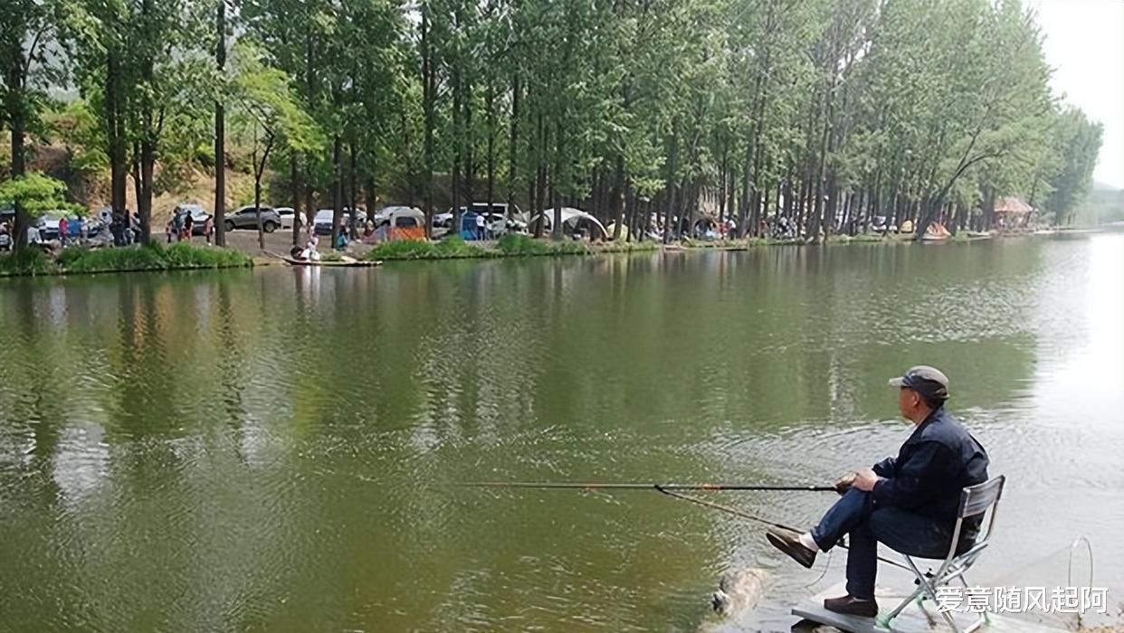 饵料|新手钓鱼入门，再省也不能省的4样东西，方向选对可减少钓鱼花销