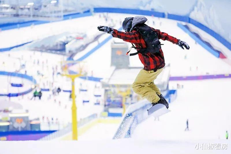 成都|院子生活为什么如此令人向往?