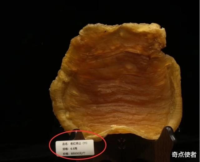 浙江男子找到50年前的鱼胶,如今价值上百万,专家:可作传家宝