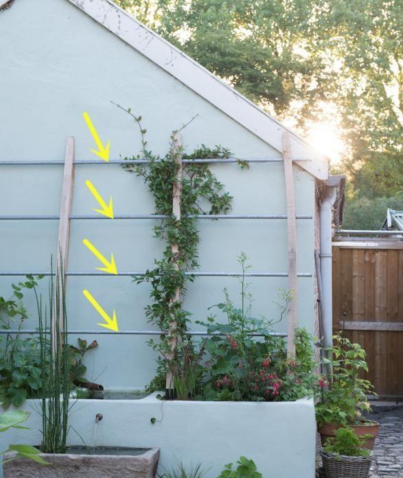 有院子我也学他自制垂直花园，卡座、花坛一体，一边喝茶一边养花