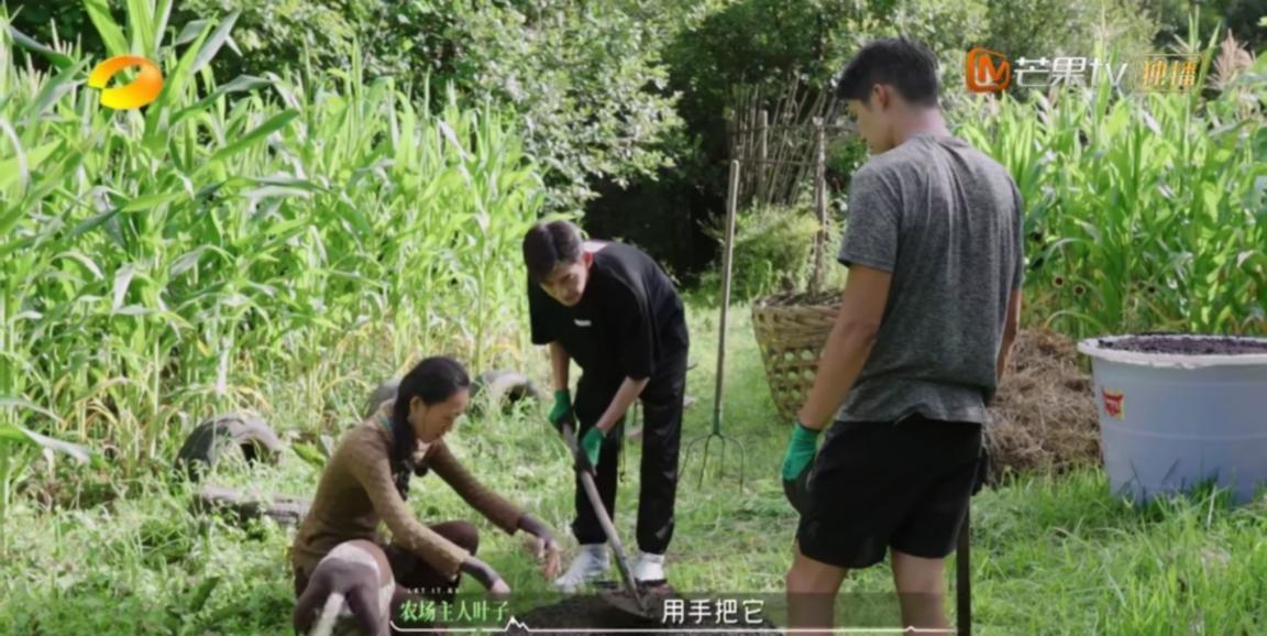 武艺|明星真喜欢农村吗?武艺无意间的一句话,揭开综艺扎堆农村的原因