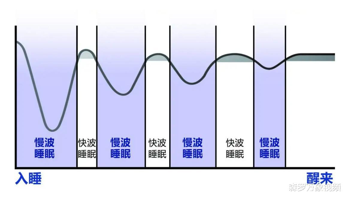 强悍的雨燕:空中连续飞行十个月,累了就边飞边睡