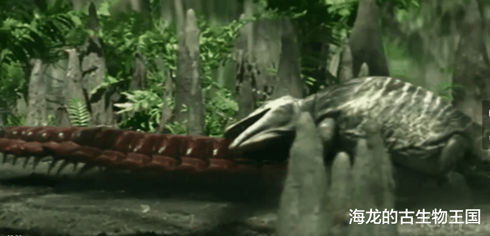 史上最大蜻蜓出场!原水蝎螈才是石炭纪森林中的霸主!