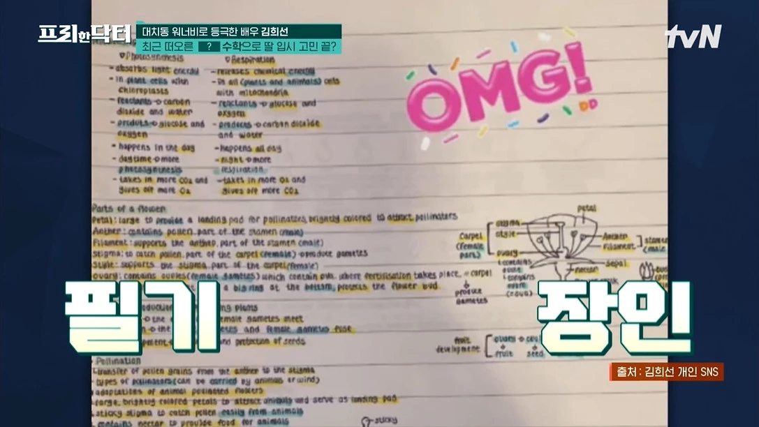 金喜善|韩国女星金喜善,教育女儿很成功,登“善于教育孩子的明星”榜首