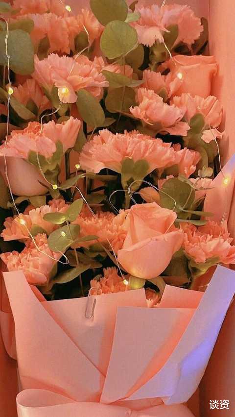 谢娜|谢娜晒与3个女儿合照,小女儿首曝光亲自背身上,双胞胎女儿风格大不同