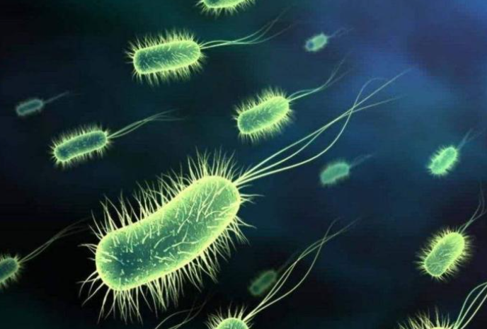 昆虫在琥珀里面万年不腐,为什么古人不用琥珀来做防腐?
