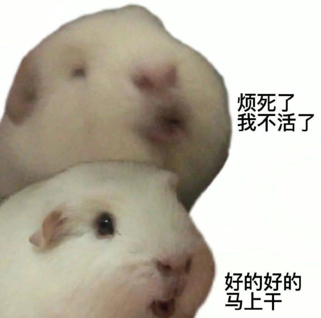 求职|最近有一批卷上岸的年轻人，正在经历“跳崖式”落差